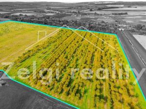 Prodej sadu/vinice, Rakvice, 176555 m2