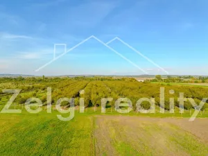 Prodej sadu/vinice, Rakvice, 210277 m2