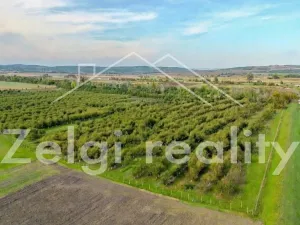 Prodej sadu/vinice, Rakvice, Horní, 210277 m2