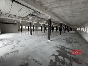 Pronájem skladu, Krasíkovice, 1178 m2