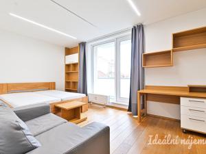 Pronájem bytu 2+1, Brno, Palackého třída, 60 m2