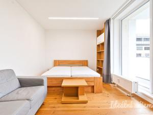 Pronájem bytu 2+1, Brno, Palackého třída, 60 m2