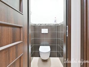 Pronájem bytu 2+1, Brno, Palackého třída, 60 m2