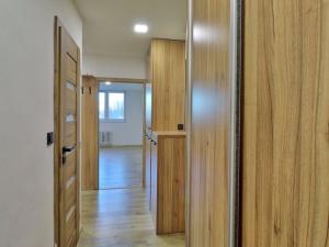 Pronájem bytu 2+kk, Ostrava, Gen. Janka, 60 m2