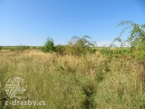 Dražba zahrady, Grunta, 927 m2