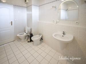 Pronájem bytu 2+kk, Brno - Ponava, Hrnčířská, 103 m2