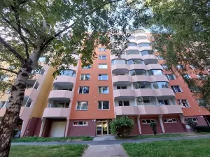 Pronájem bytu 1+1, Brno, Ečerova, 40 m2