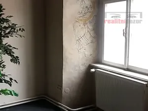 Prodej domu, Jihlava, Palackého, 490 m2