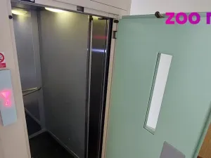 Prodej bytu 3+1, České Budějovice, Lidická tř., 67 m2