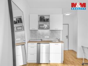 Prodej bytu 1+kk, Praha - Vysočany, U Lidového domu, 17 m2