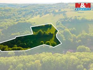 Prodej louky, Jílové u Prahy, 18692 m2