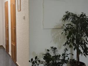 Pronájem kanceláře, Jeseník, 28. října, 19 m2