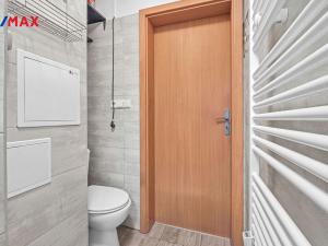 Pronájem bytu 1+kk, Milovice - Mladá, Slepá, 42 m2