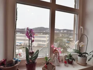 Pronájem bytu 3+1, Ústí nad Labem, Drážďanská, 74 m2