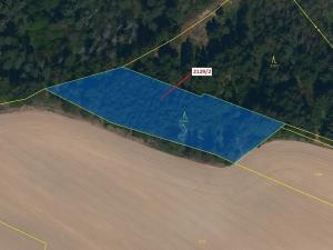 Dražba lesa, Žirovnice, 3636 m2