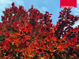 Prodej rodinného domu, Kamenice, Lomená, 157 m2