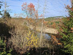 Prodej chalupy, Zvíkovské Podhradí, 150 m2