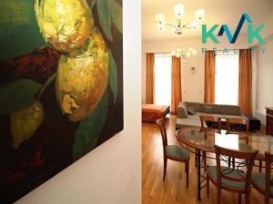 Pronájem bytu 1+1, Karlovy Vary, U Imperiálu, 106 m2