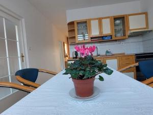 Pronájem bytu 4+1, Třebíč, Novodvorská, 98 m2