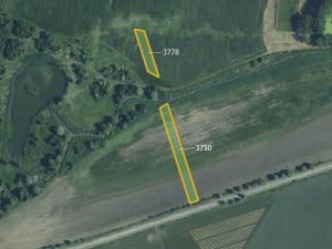 Prodej pole, Starovičky, 5778 m2