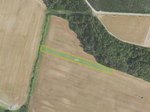 Prodej pole, Třtice, 8121 m2