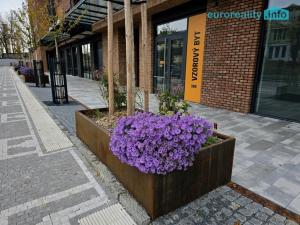 Pronájem bytu 1+kk, Praha - Smíchov, U Lihovaru, 29 m2