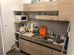 Pronájem obchodního prostoru, Jihlava, Přední, 270 m2