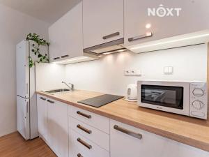 Prodej bytu 1+kk, Svitavy, Říční, 36 m2