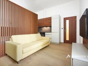 Pronájem bytu 1+kk, Brno, Masarykova, 35 m2