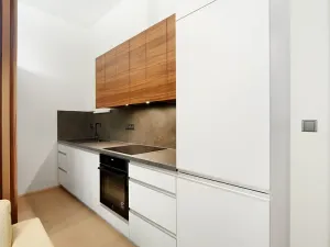 Pronájem bytu 1+kk, Brno, Masarykova, 35 m2