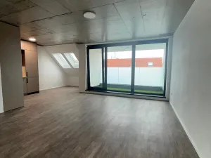 Pronájem bytu 1+kk, České Budějovice, Štítného, 44 m2