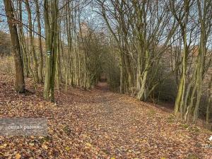 Prodej pozemku, Jílové u Prahy, 3438 m2