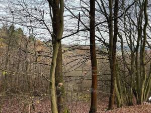 Prodej pozemku, Jílové u Prahy, 3438 m2