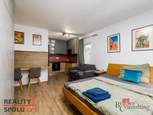 Prodej bytu 2+kk, Plzeň - Východní Předměstí, Kartónová, 56 m2