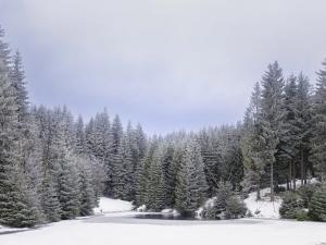 Prodej bytu 2+kk, Loučná pod Klínovcem, 40 m2