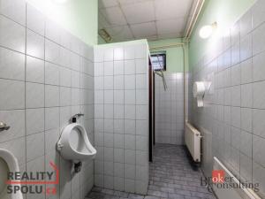 Prodej výrobních prostor, Kaznějov, Pod Továrnou, 6551 m2