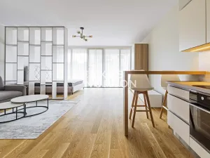 Pronájem bytu 1+kk, Praha - Vinohrady, Dudova, 57 m2