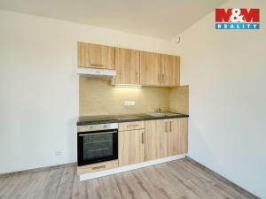 Pronájem bytu 3+kk, Plzeň - Východní Předměstí, Železniční, 96 m2