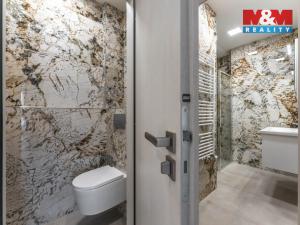 Pronájem bytu 2+kk, Praha - Holešovice, Dělnická, 53 m2