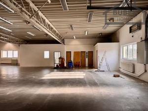 Pronájem výrobních prostor, Staré Sedliště, 613 m2