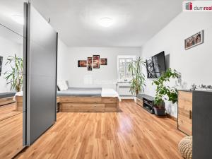 Prodej bytu 2+kk, Ústí nad Labem - Klíše, Klíšská, 41 m2