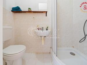 Prodej bytu 1+1, Brno - Královo Pole, Slovinská, 29 m2