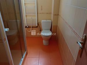 Pronájem bytu 1+1, Děčín - Děčín X-Bělá, Saská, 44 m2