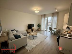 Pronájem bytu 1+kk, Brno - Trnitá, Křenová, 32 m2