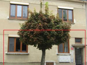 Pronájem bytu 2+1, Znojmo, Hálkova, 64 m2