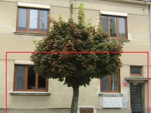 Pronájem bytu 2+1, Znojmo, Hálkova, 64 m2