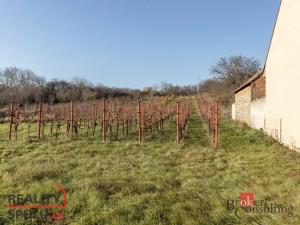 Prodej zahrady, Nový Poddvorov, 201 m2