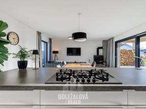 Prodej rodinného domu, Luka nad Jihlavou, Za Dvorem, 193 m2