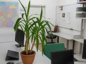 Pronájem kanceláře, Most, Růžová, 12 m2