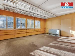 Prodej obchodního prostoru, Příbram - Příbram I, Gen. R. Tesaříka, 511 m2